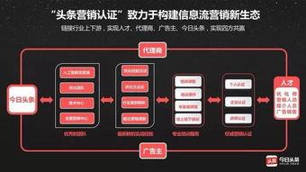 优质认证推进头条首页,深度解析优质认证如何点亮头条首页